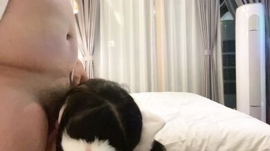 可愛清純可愛妹妹裝被主人後入