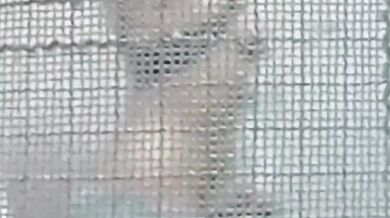 Bí mật quay phim thiếu nữ Malaysia ngực trần