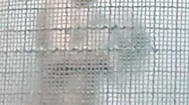 Bí mật quay phim thiếu nữ Malaysia ngực trần