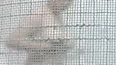 Bí mật quay phim thiếu nữ Malaysia ngực trần