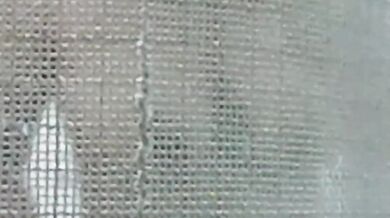 Bí mật quay phim thiếu nữ Malaysia ngực trần