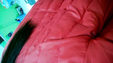 オフィスで女性秘書と不倫