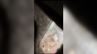 友達の隣人のお姉さんがお風呂に入っているところ2