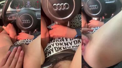 道端で車に乗った雌犬