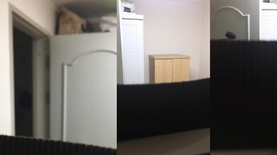 初めてです！ K子は替え履きです。