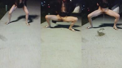 拒食症の雌犬がおしっこをする