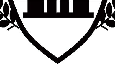 會社のめっちゃかわいい新入社員を盜撮したら乳首がピンク色 ぽよよんぽよよん弾むやわらかおっぱいがエロすぎた