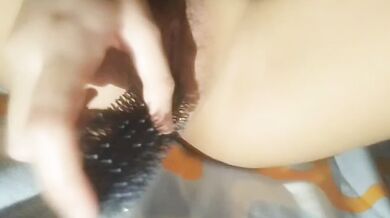 Chó cái dùng lược tự sướng