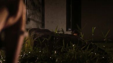 文宝玲 徐孝明 朴蘭 キャンパスSカップル