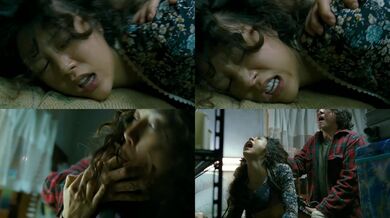 キム・インソウ 悪魔を見た