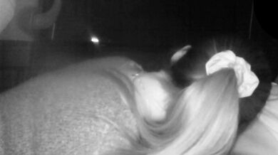 Japanese Style Beauty College Student's Oral