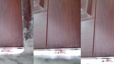 倆學生躲在藝術樓裡關着門做愛！！話說在廣東湛江遂溪縣的某高中，有個同學路過的時候聽見裡面傳來嗯啊~嗯~的聲音！