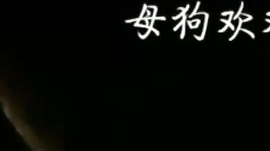 Dog Huanhuan Boldly Exposes Herself at Mall