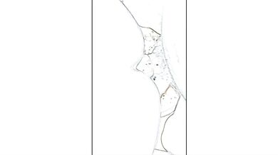 何でもありの変態彼女を調教する変態飼い主