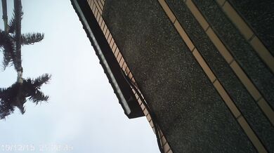 女中