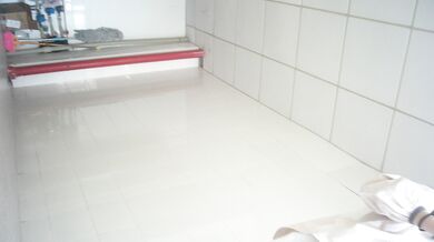 caught chinese beauty masturbating in the toilet