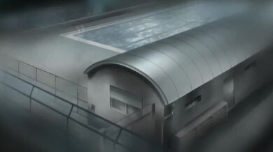 Tôi luôn thích bạn 2