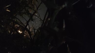 黑絲水手服少女路邊尿尿