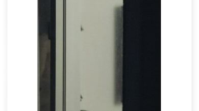 女鄰居的曰常生活 (2)