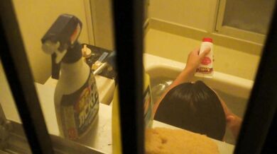 15303087-ホームバス