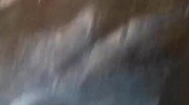 sup369-su01-bathvoyeur