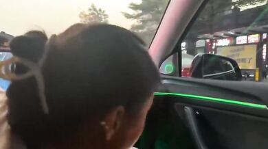 Tesla owner waits for green light to have oral sex