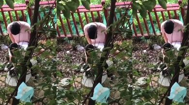 屋外で性行為をしている学生たちが通行人にこっそり撮影された